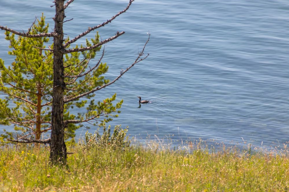 Photograph by Виктор Коптелов