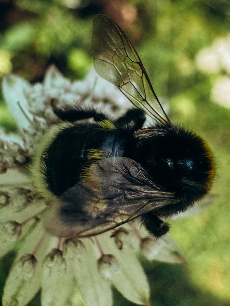 Photograph by Александра Кишикова