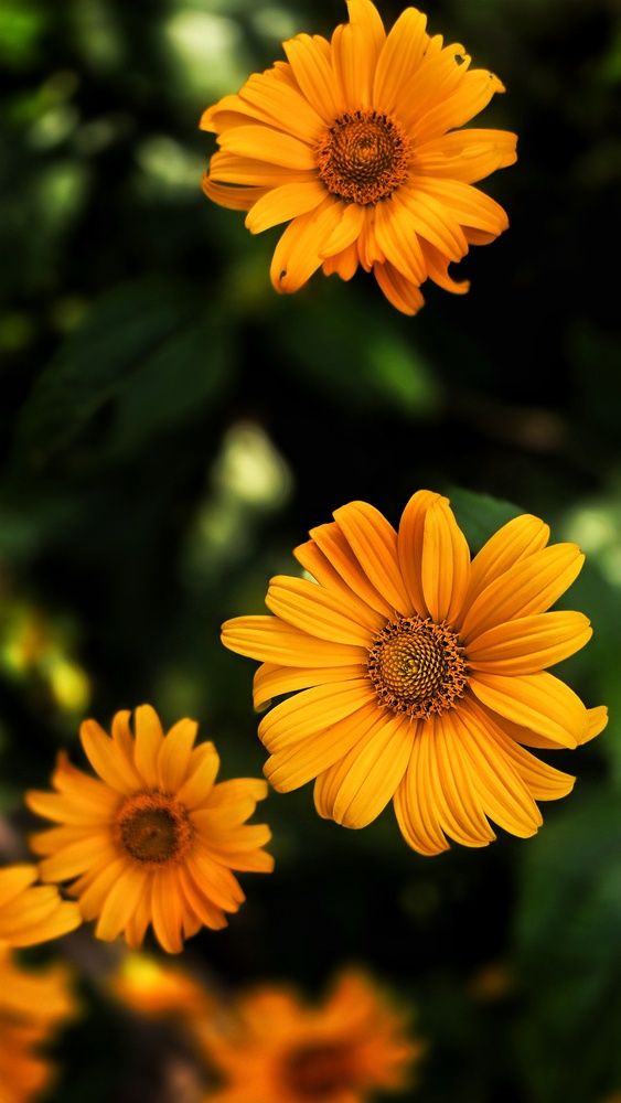 Photograph by Марина Ивасюта