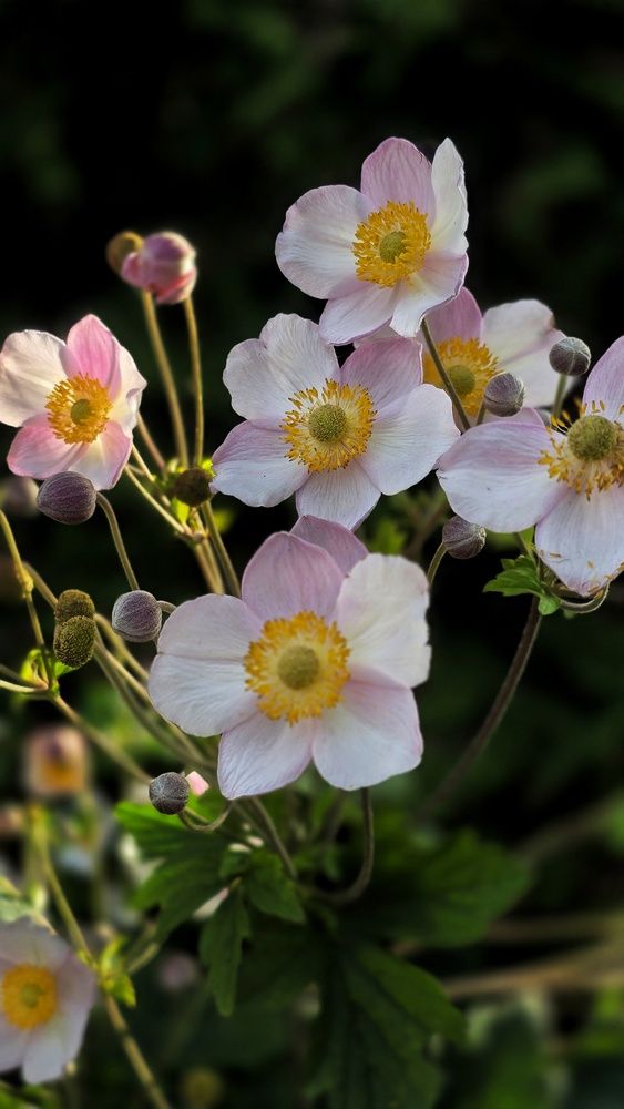 Photograph by Марина Ивасюта