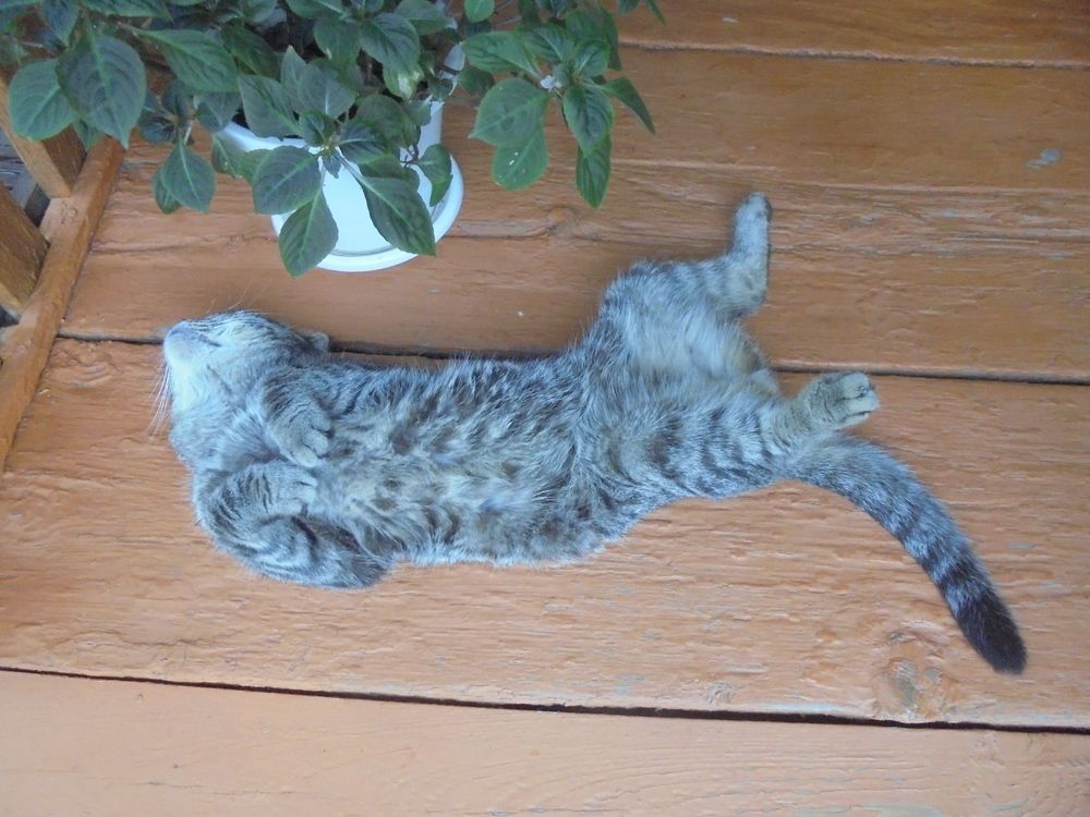 Photograph by Лилия Исхакова