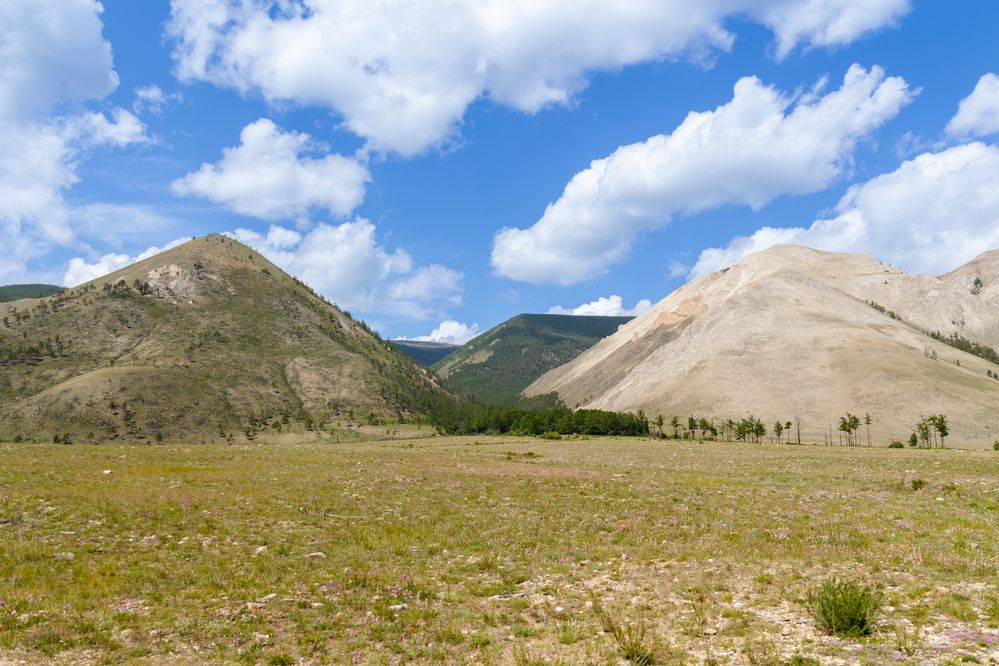 Photograph by Виктор Коптелов