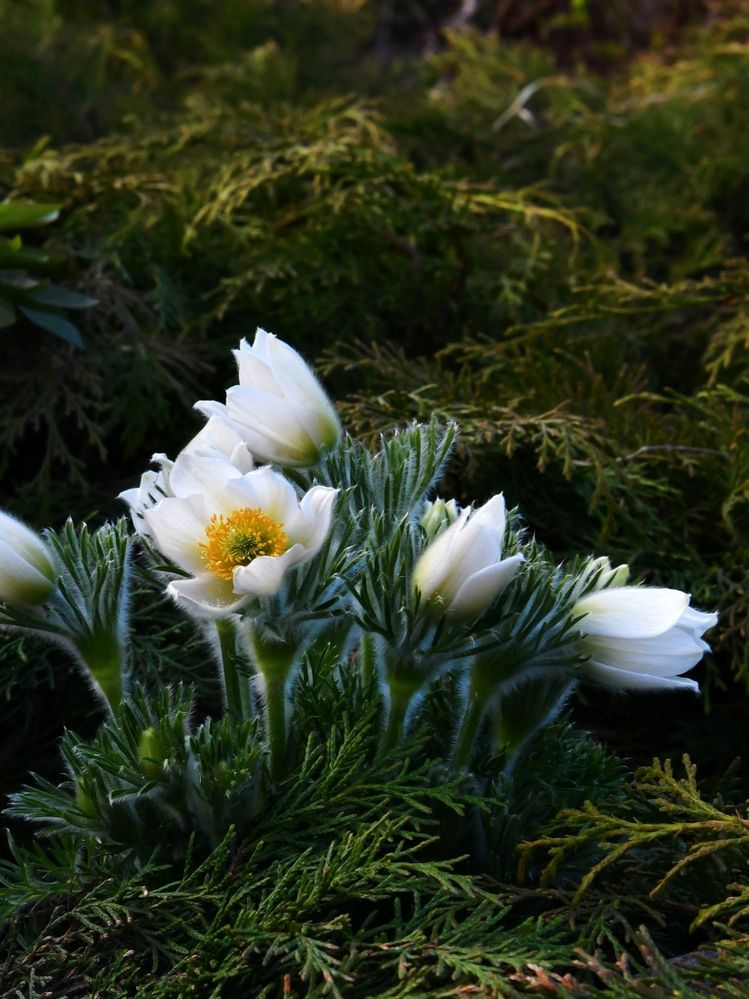 Photograph by Елена Павлова