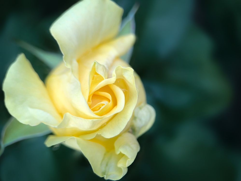 Photograph by Татьяна Левашова