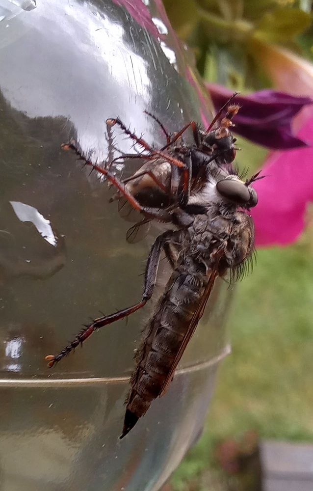 Photograph by Евгений Савулькин