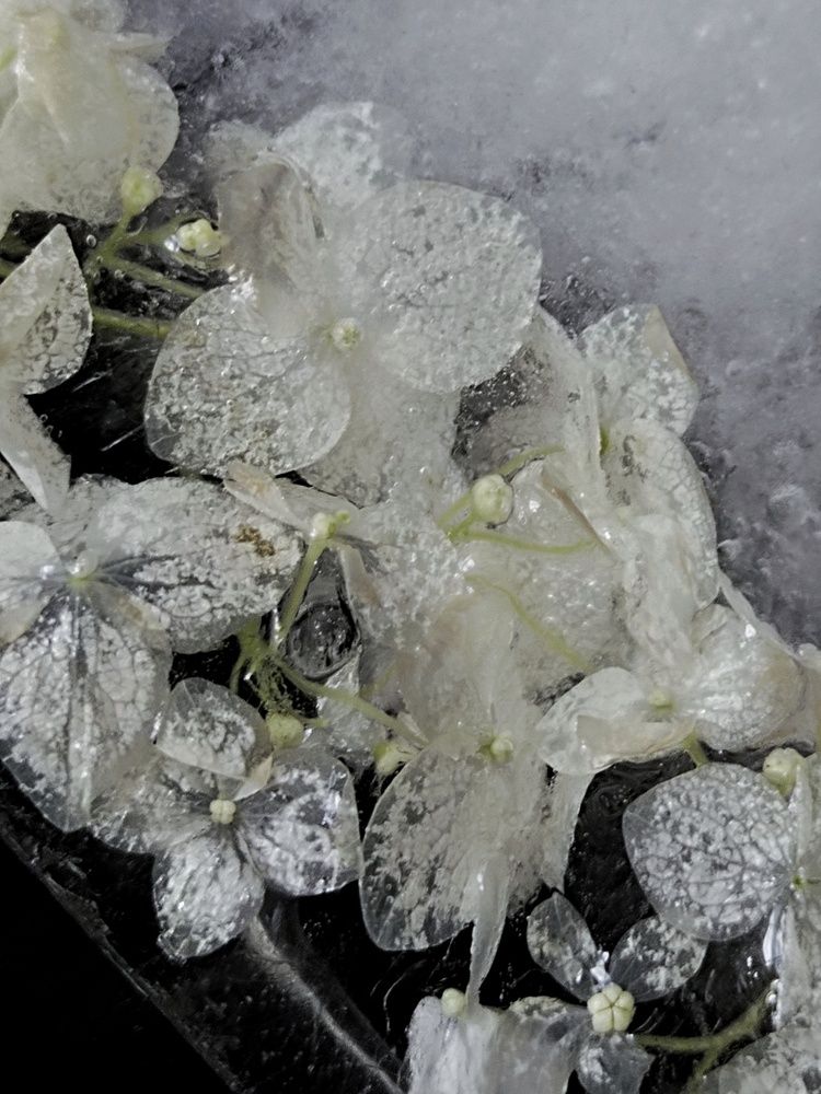 Photograph by Ирина Семенович