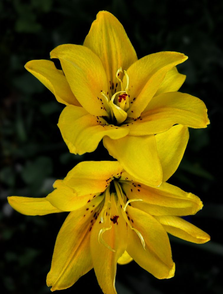 Photograph by Виталий Са