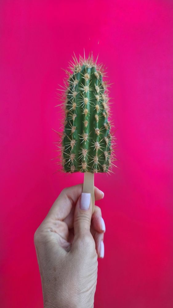 Photograph by Юлия Бурминская