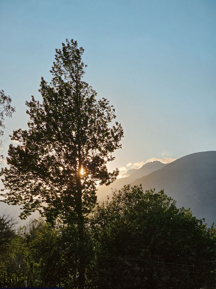 Photograph by Irina Chka