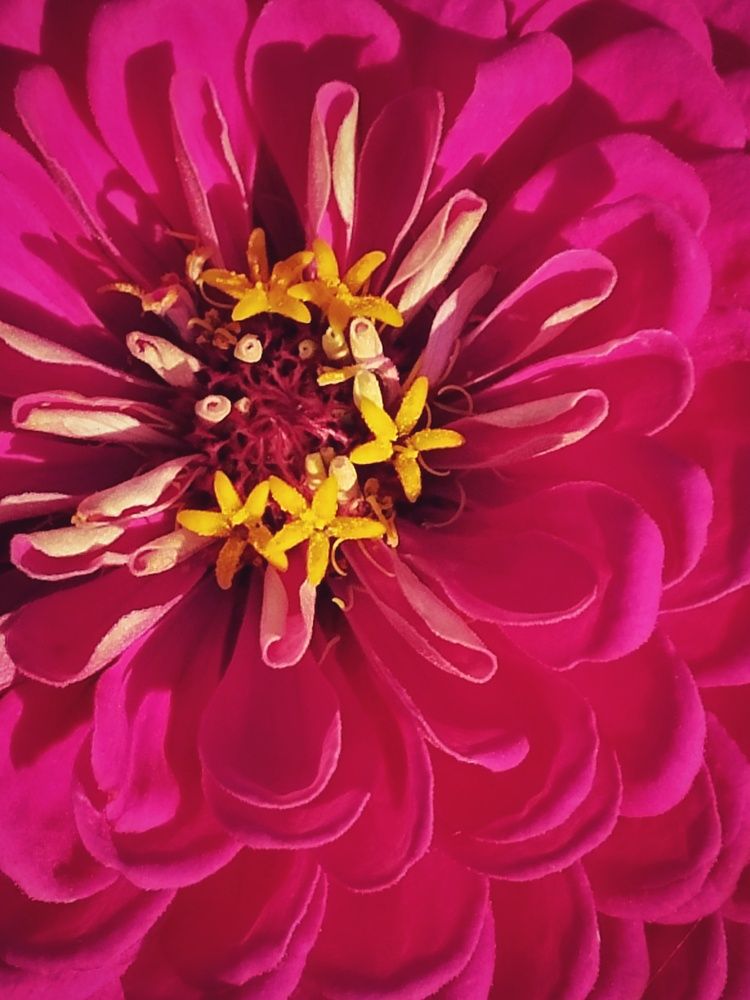 Photograph by Ирина Семенович