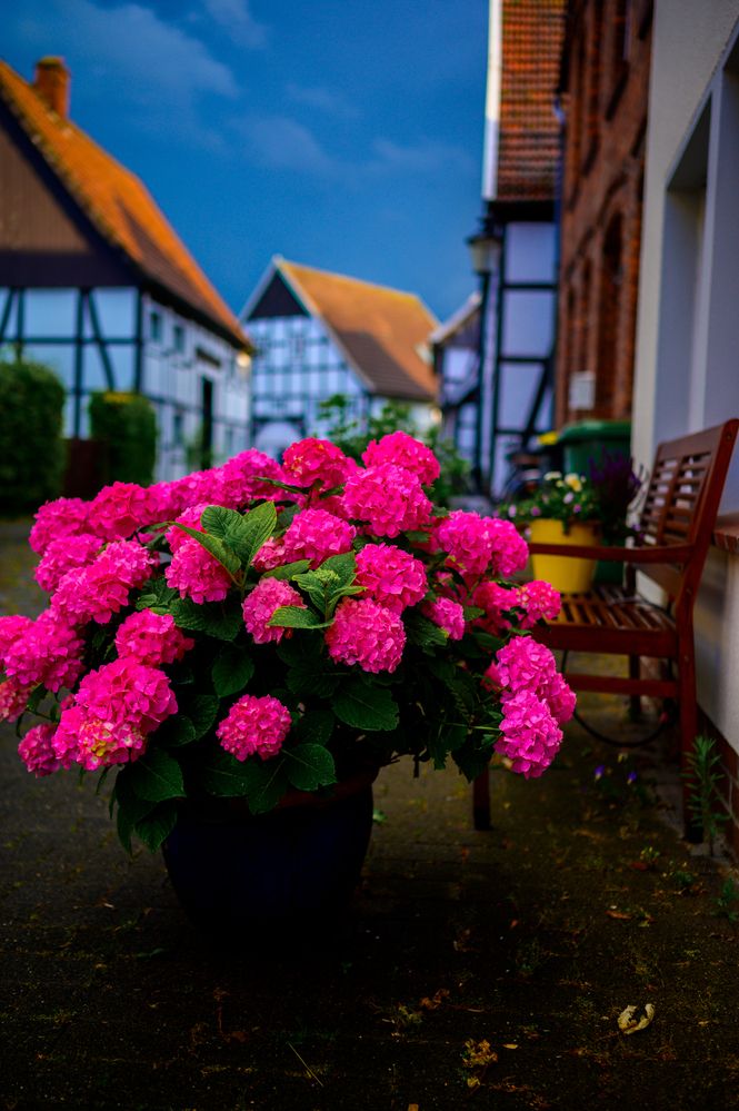 Фотография автора Алина Миняйло