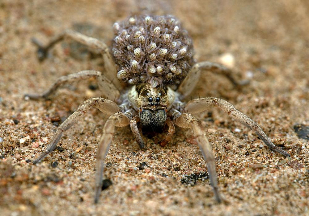 Photograph by ghaniya Almajrafi