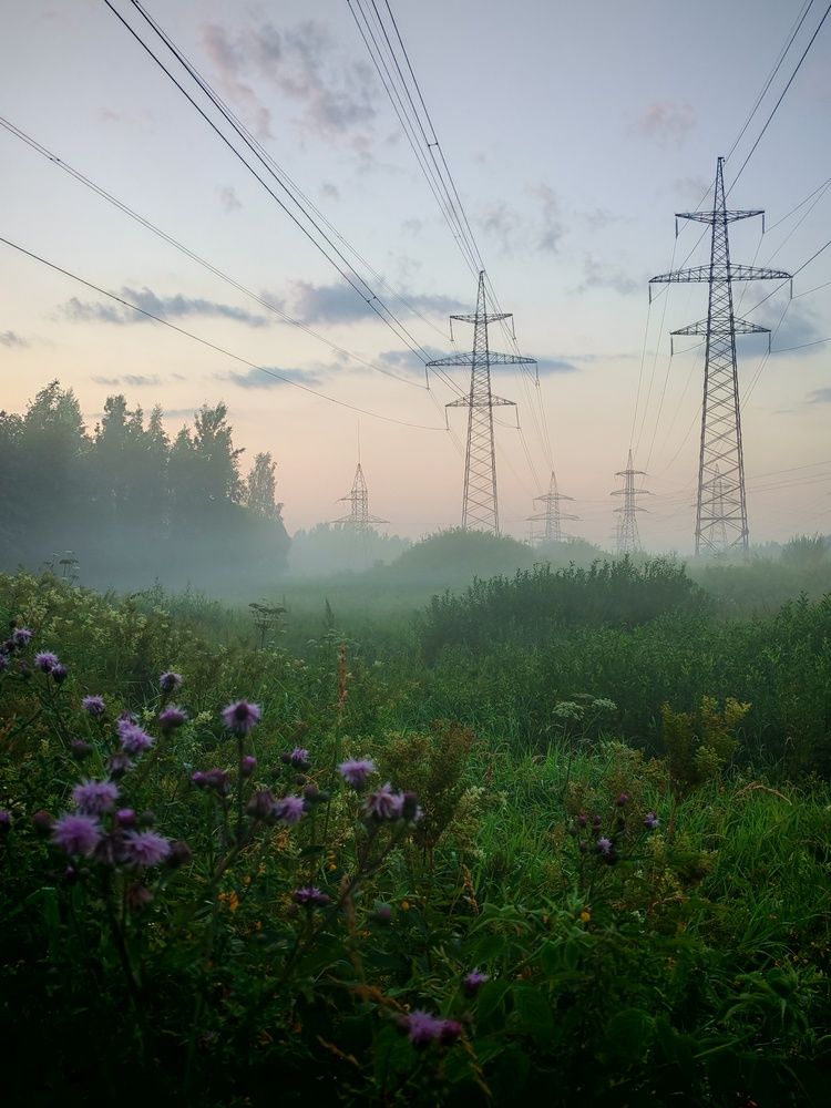 Photograph by Татьяна