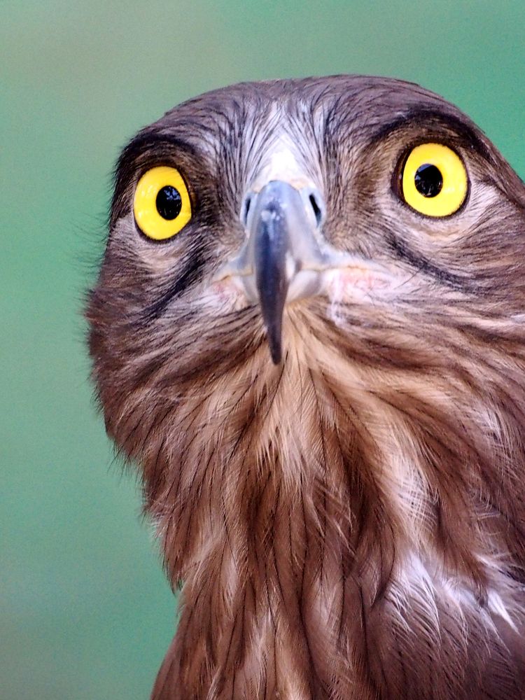 Photograph by Abdolreza Aleagha