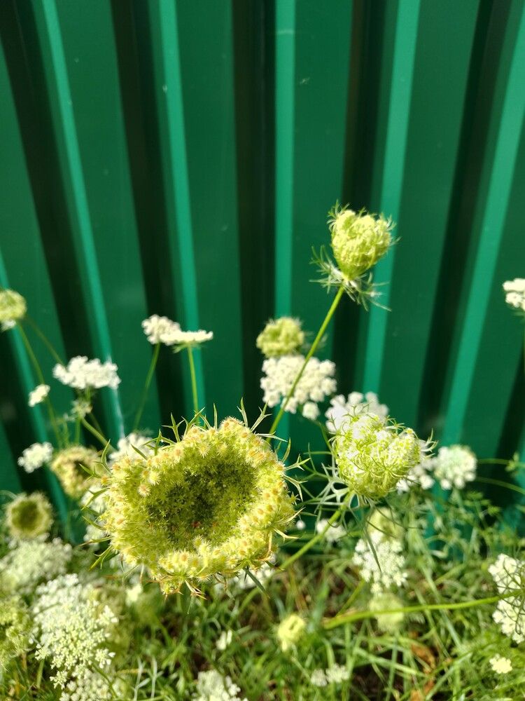 Photograph by Людмила Баглей