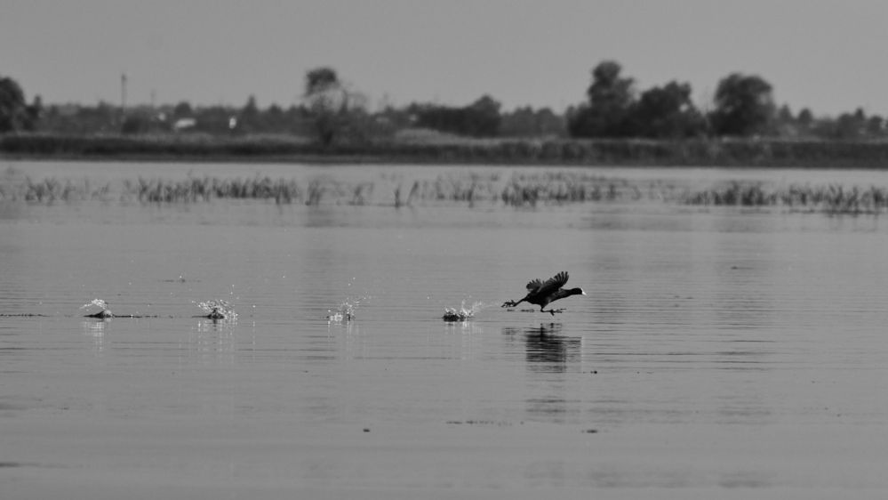 Photograph by Александр Лиманский