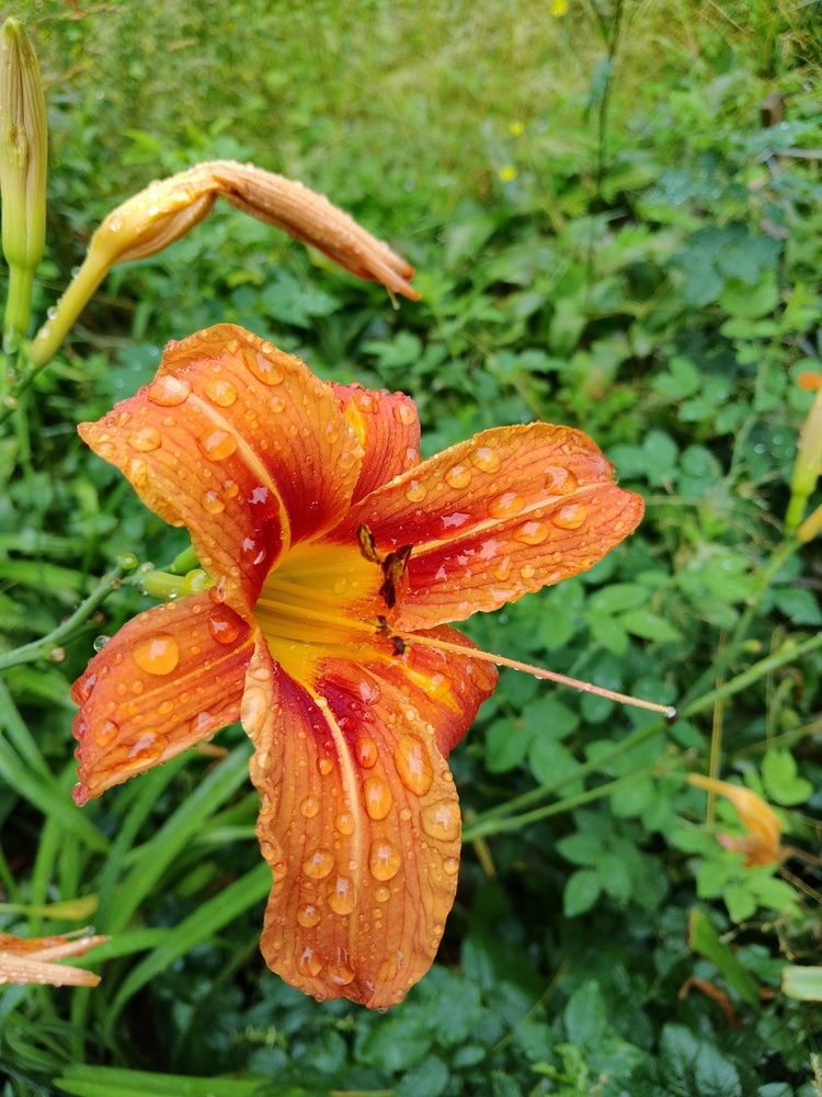 Photograph by Людмила Баглей