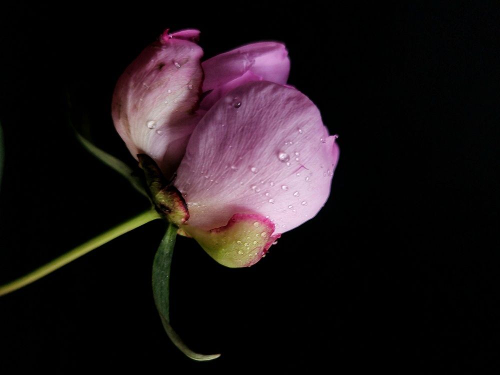 Photograph by Александра Кропивка