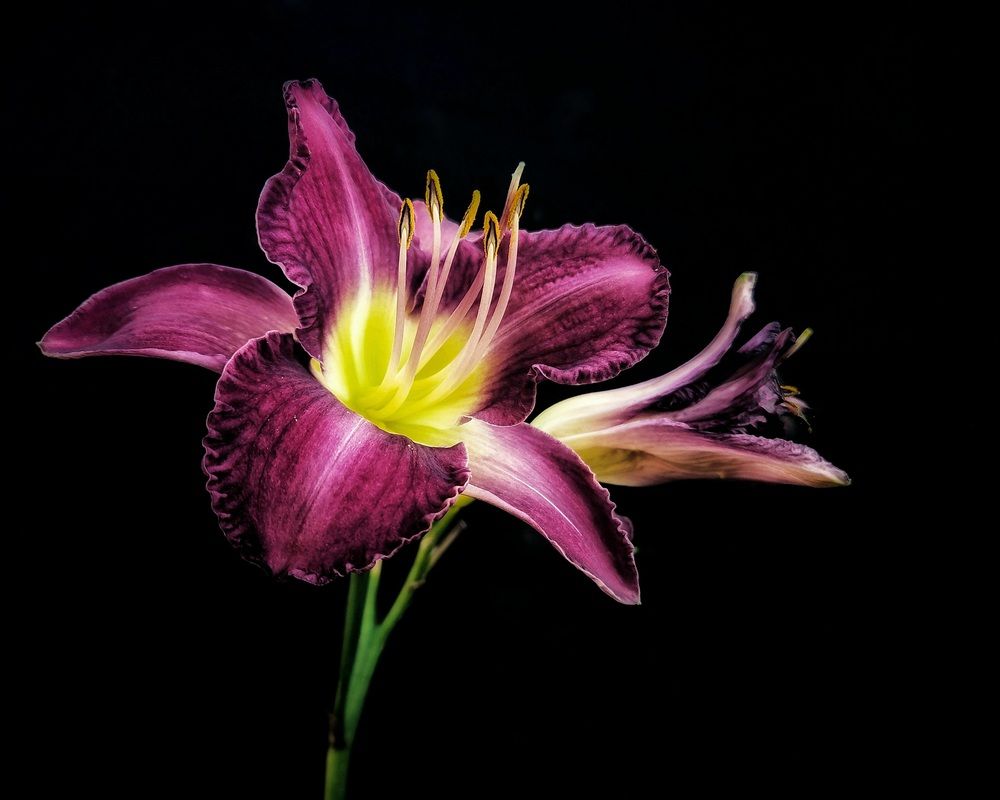 Photograph by Александра Кропивка