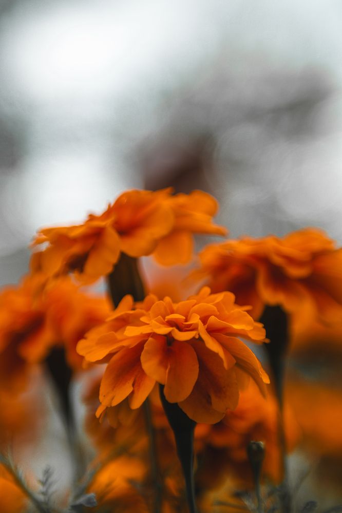 Photograph by Павел Ващилов