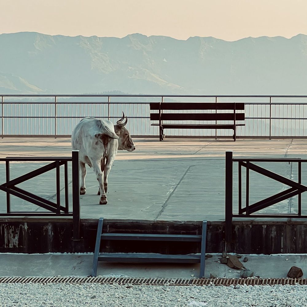 Photograph by Олег Банковский