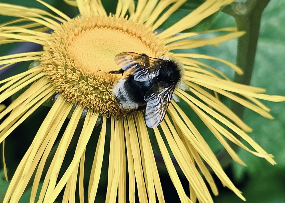 Photograph by Олег Банковский