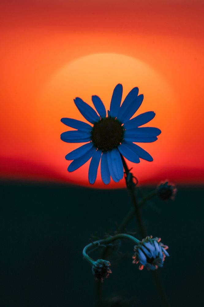 Photograph by Сергей Конюшенко