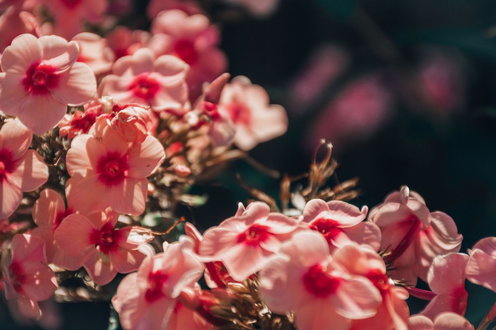 Photograph by Павел Ващилов