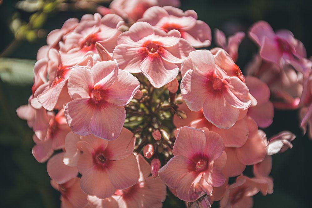 Photograph by Павел Ващилов