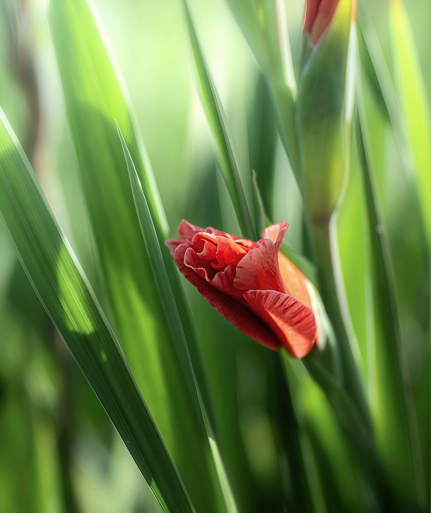 Фотография автора Igor Lukin