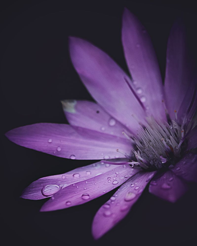 Photograph by Дмитрий Казачек