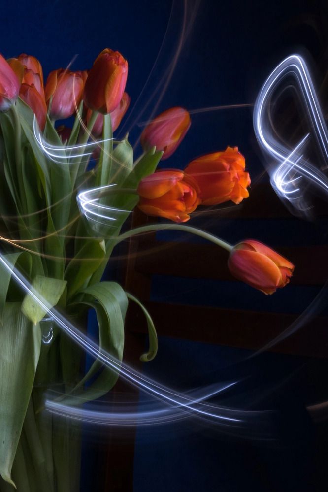 Photograph by Наталья Сафронова