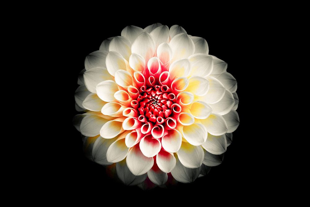 Photograph by Александър Каленски