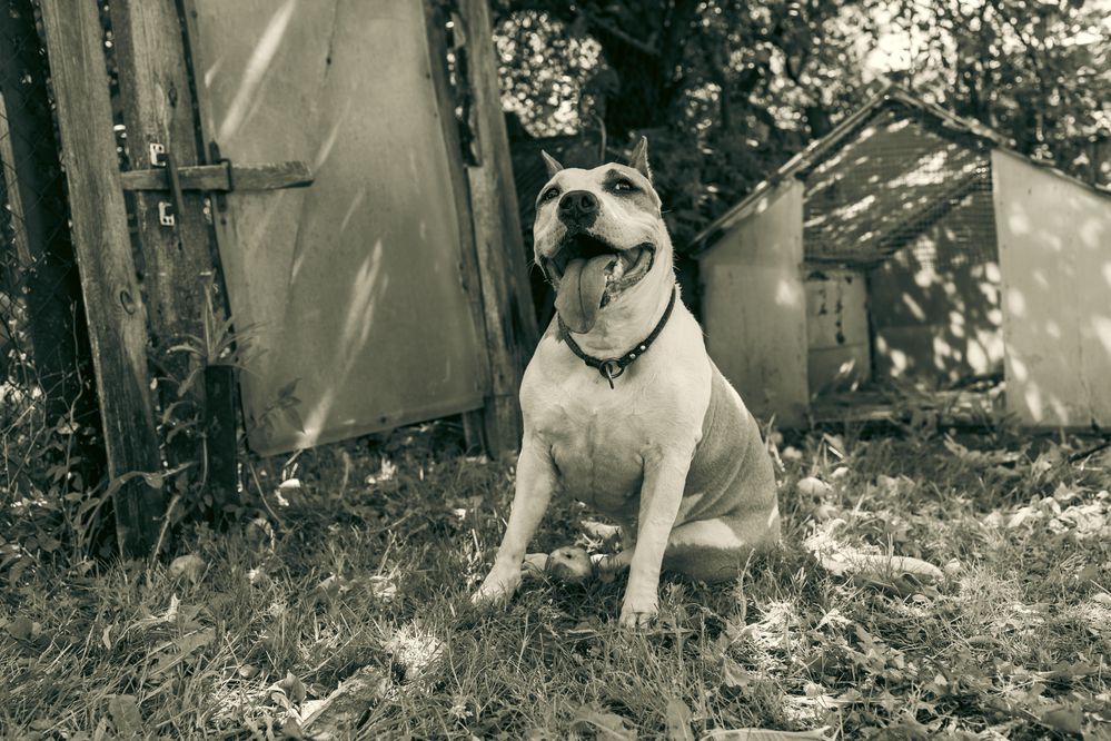 Photograph by Наталья Сафронова