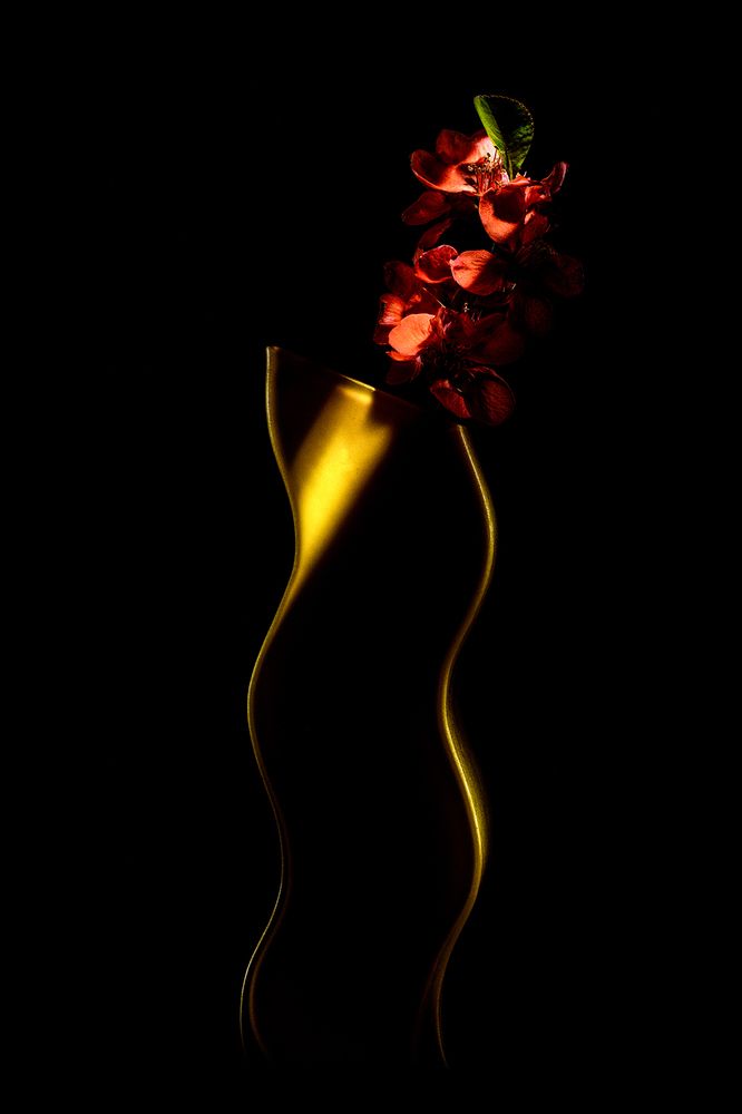 Японская айва