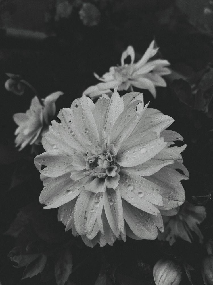 Photograph by Liudmila Pilets