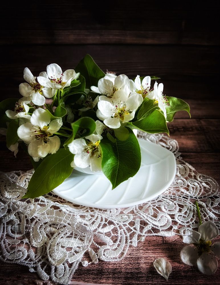 Photograph by Марина Нагичева