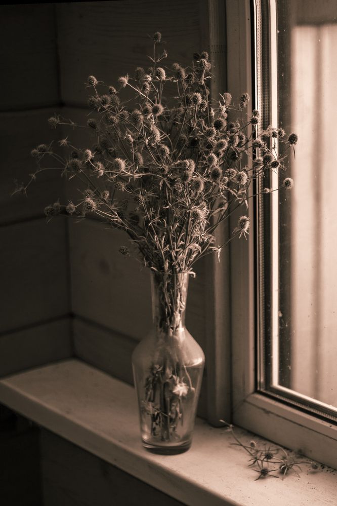 Photograph by Елена Беланенко