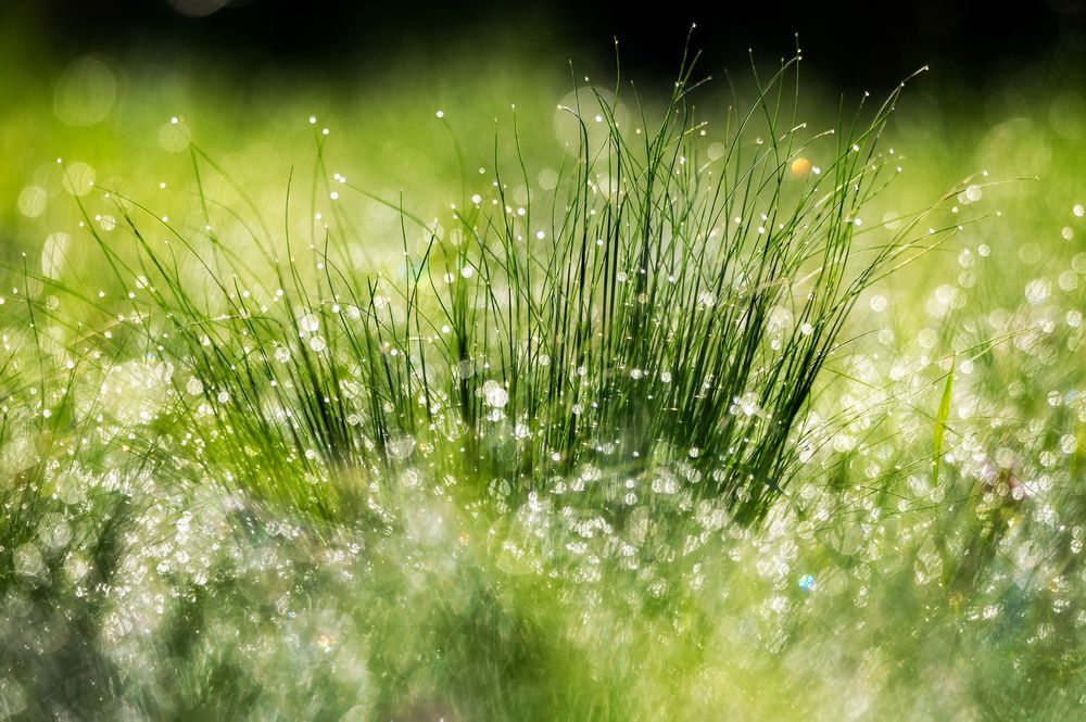 Photograph by Сергей Тихомиров