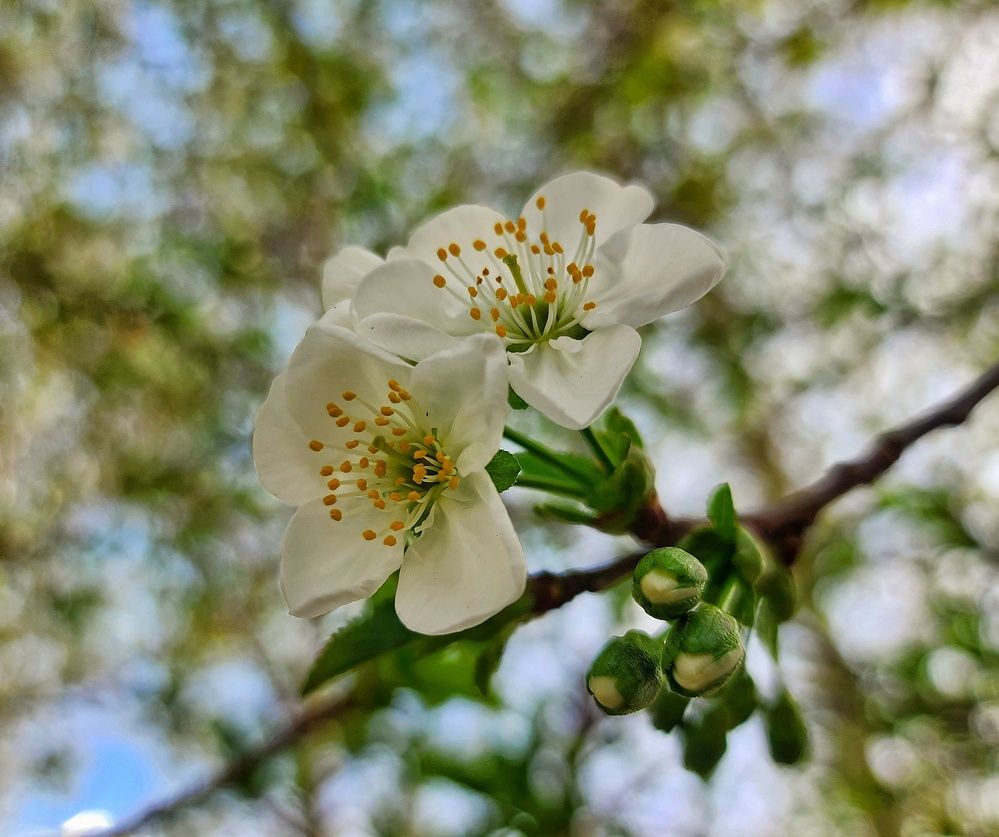 Фотография автора reyhane  khavaninzadeh