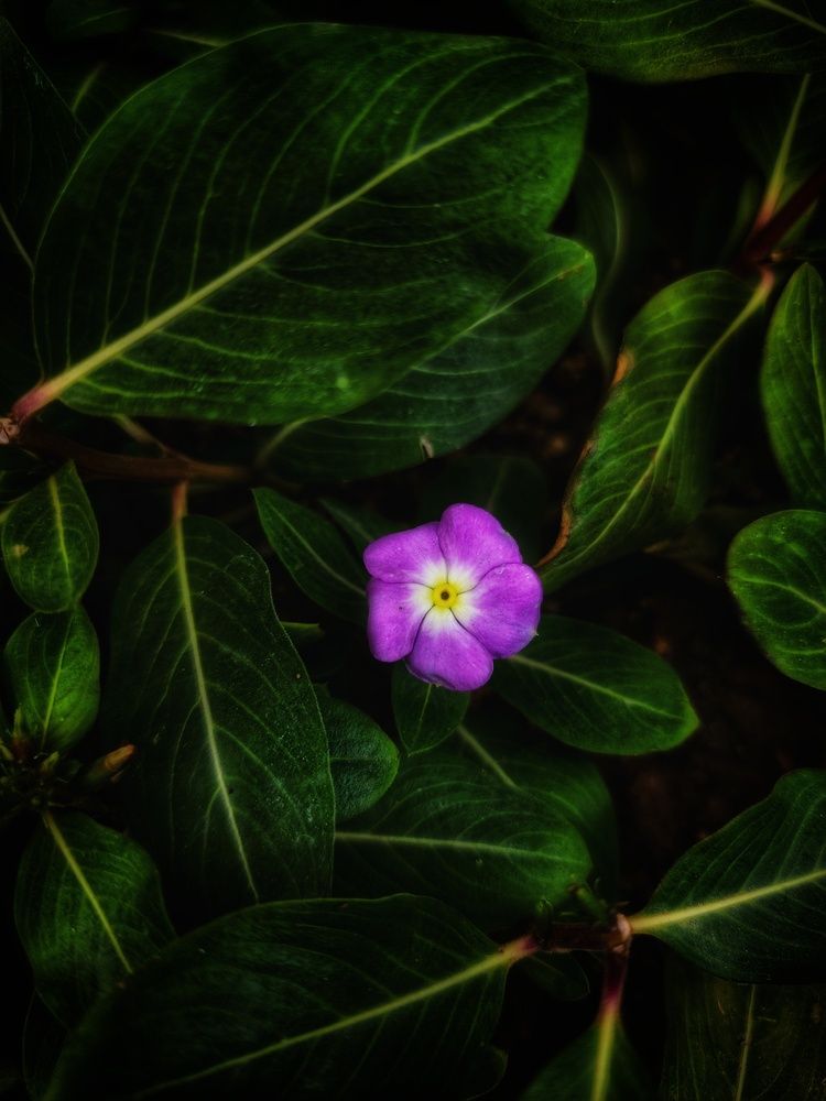 Фотография автора reyhane  khavaninzadeh