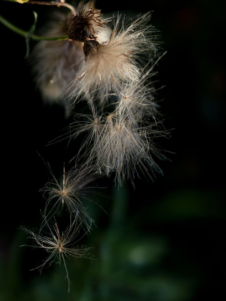 Photograph by Наталья Исаева