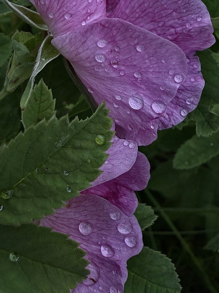 Photograph by Ольга