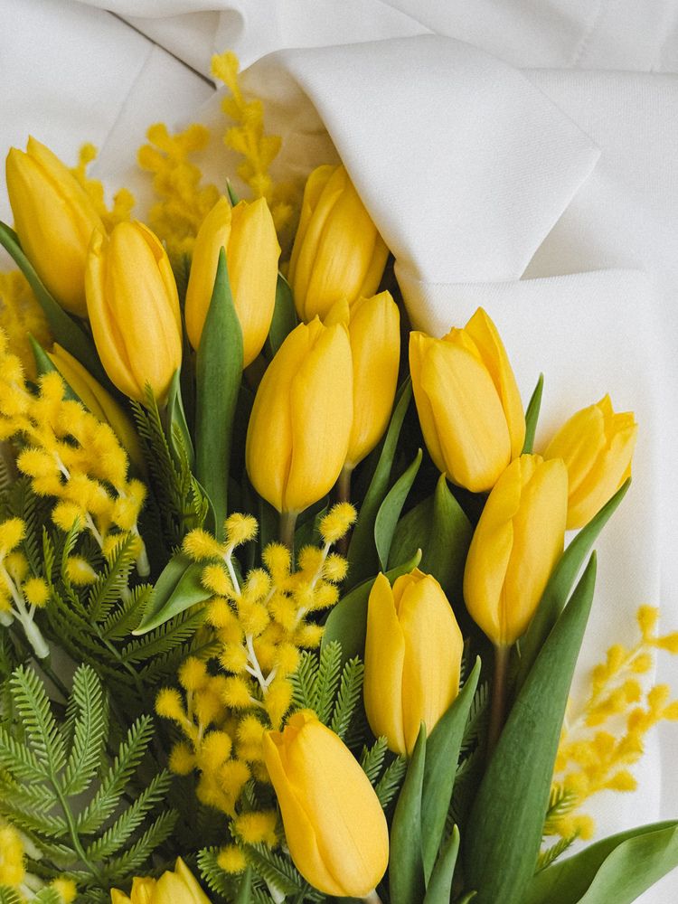 Photograph by Ольга