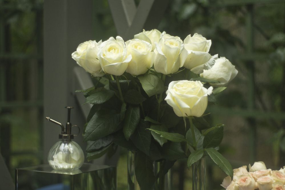 Как свежи были розы...