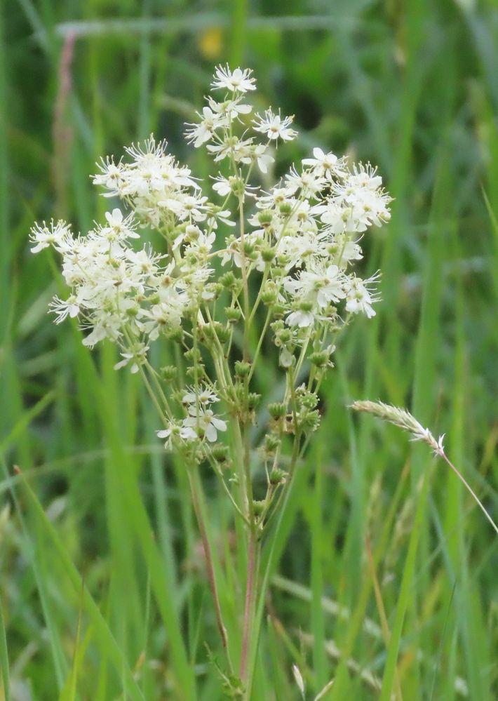 Photograph by Pjotr Alekseev