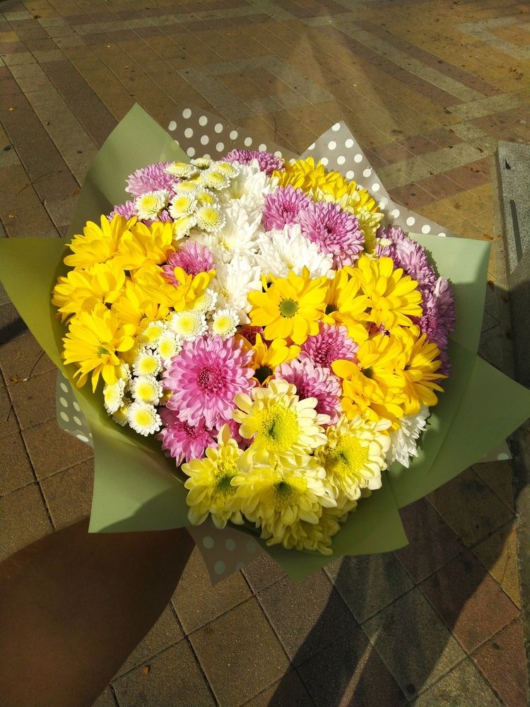 Фотография автора Анатолий Дячина