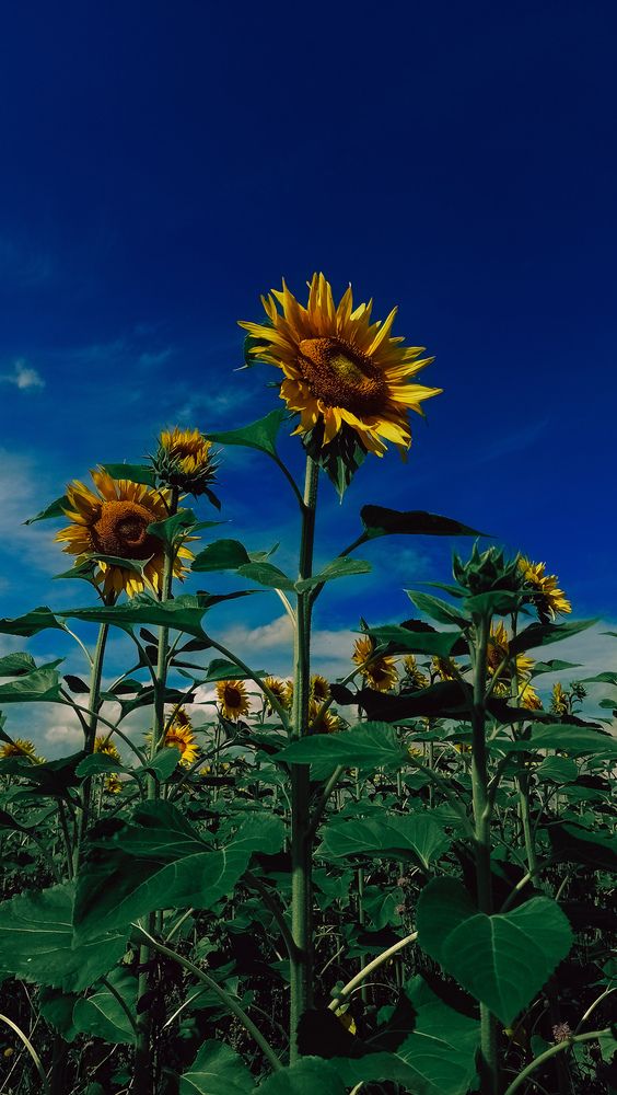 Photograph by Людмила Горячева