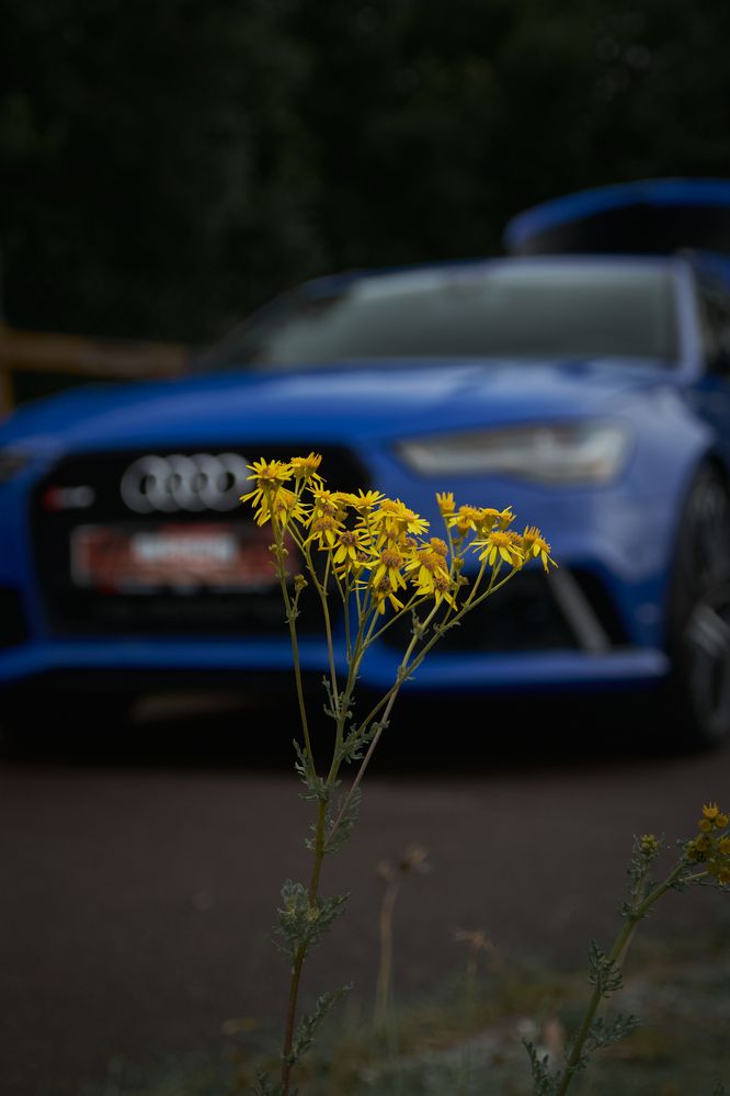 Photograph by Gleb Polianski