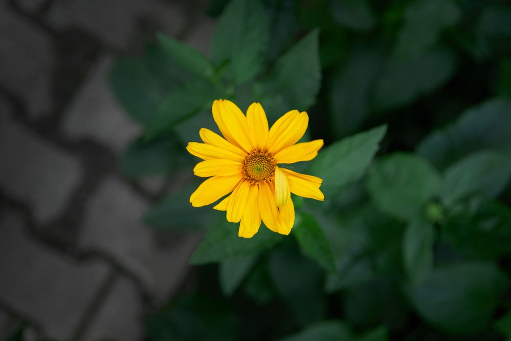 Photograph by Gleb Polianski